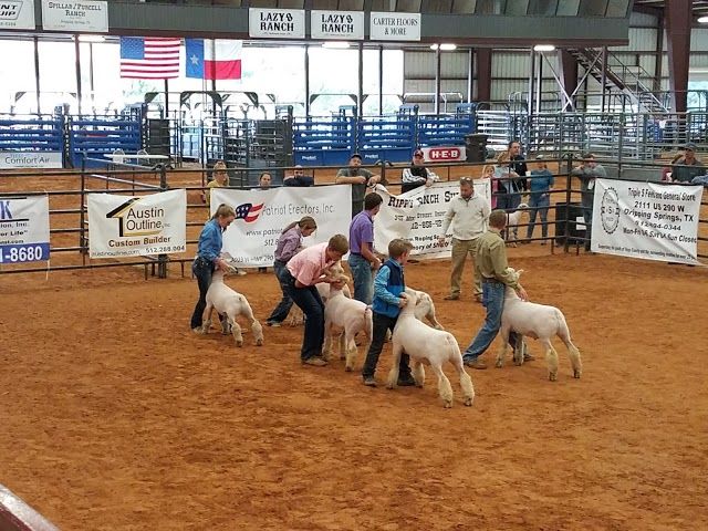 Dripping Springs Ranch Park